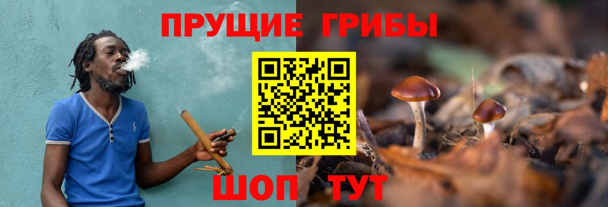 Норильск  Псилоцибиновые грибы ЛСД  Вход с VPN  Галлюциногенные грибы Cubensis 